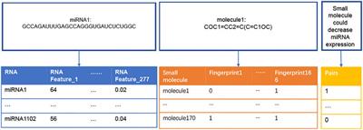 PSRR: A Web Server for Predicting the Regulation of miRNAs Expression by Small Molecules